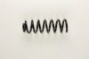 CITRO 5102E1 Coil Spring